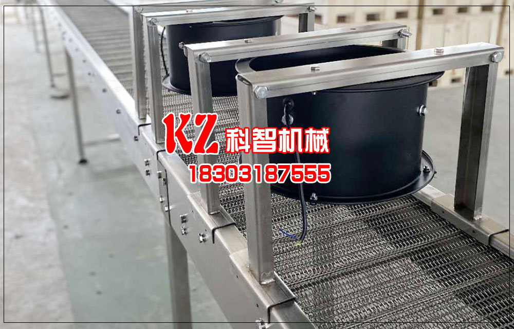 清洗提升不銹鋼網帶輸送機